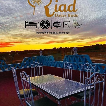 Riad Dades Birds Boumalne Dades Ngoại thất bức ảnh