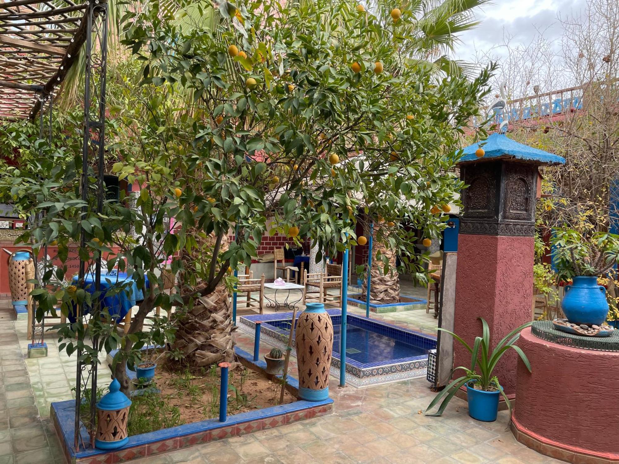 Riad Dades Birds Boumalne Dades Ngoại thất bức ảnh